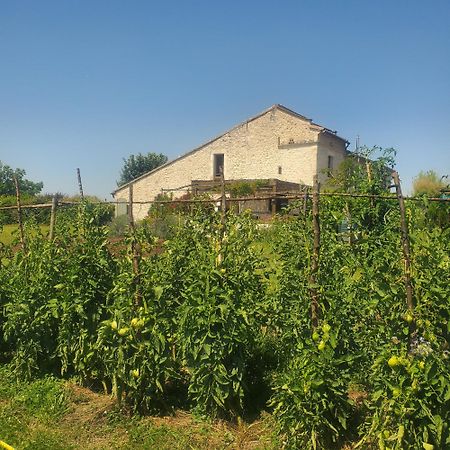 ホテル Au Mas De Janita Cahuzac-sur-Vère エクステリア 写真