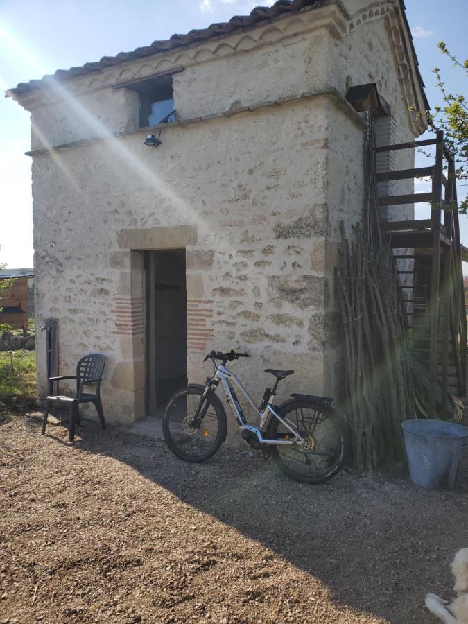 ホテル Au Mas De Janita Cahuzac-sur-Vère エクステリア 写真